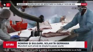 ROMÂNII ȘI BULGARII SCLAVI ÎN GERMANIA LA UN ABATORStiri B128 dec 2021 [upl. by Stelmach842]