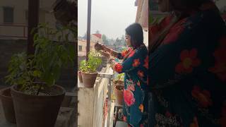 priyankastimestory treanding youtubeshorts bengalivlog trees plants positivevibesdepression [upl. by Korten]