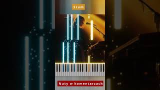 Kaśka Sochacka  Szum 🎹 Piano Tutorial 🔥 Nuty shorts [upl. by Chlo]