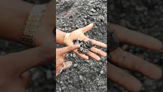 যশোর নোয়াপাড়া তে ইন্দোনেশিয়ার কয়লা indonesian coal noapara bangladesh bangladeshivlogger [upl. by Ernest]