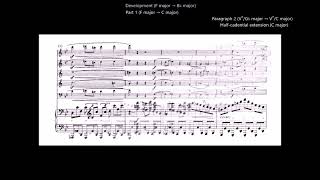 A Guided Tour of Ludwig Thuilles Sextet in B♭ major for Piano and Wind Quintet Opus 6 1888 [upl. by Tybie744]