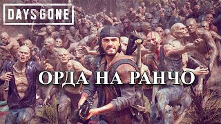 Cюжетная Орда На Ранчо в Days Gone [upl. by Aes956]