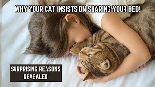 Why Your Cat INSISTS on Sharing Your Bed The Surprising Reasons Revealed [upl. by Anerok82]