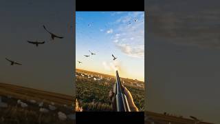 best shot of the year2024snowgoosehuntingbirdhuntinghunting [upl. by Dusty701]