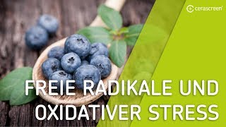 Deshalb schaden dir freie Radikale  Freie Radikale und oxidativer Stress [upl. by Eniwtna]