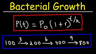 How To Solve Bacteria Growth Math Problems [upl. by Lezti]