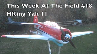 This week at the field 18 HKing Yak 11 Racer [upl. by Eatton255]