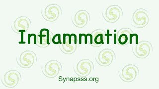 Inflammatory Response Inflammation Pathology  Signs Steps and Pathogenesis Acute and chronic [upl. by Anoed]