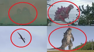 5 Godzilla Characters Caught on Camera amp Spotted in Real Life 5 [upl. by Alym965]