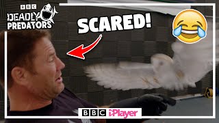 STEVE BACKSHALL is SURPRISED by an OWL TWICE 🦉  Deadly Predators  CBBC [upl. by Oab]