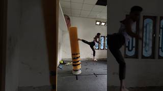 Back kick youtubeshorts indianmartialartstraining combatsport youtubeshortsmartialarts [upl. by Lauer240]