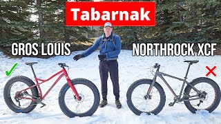 Gros Louis 3 Fatbike vs Northrock XCF Fat Bike Review [upl. by Encratis]