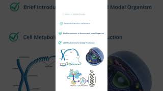 Molecular Biology MasterClass [upl. by Aisiat]