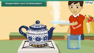 Evaporation and Condensation  Methods of Separation in Everyday Life  Science  Class 6 [upl. by Reta]