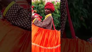 Mishri ko Baag Laga De Rasiya  Rajasthani song shorts rajasthanisongs veenamusic [upl. by Nnahsal501]