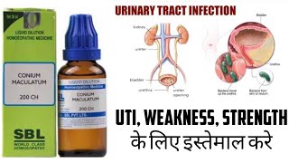 Conium Maculatum 200C Benefits Uses Side effects Review in Hindi  Review Remedy [upl. by Anhcar]