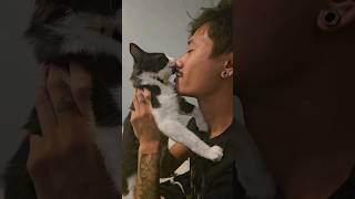 affectionate kitten loves to give his humans eskimo kisses [upl. by Timothea]