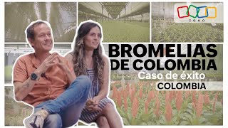 Bromelias de Colombia  Caso de éxito Zoho [upl. by Myrtie]