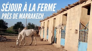 SÉJOUR EN FERME DHÔTES PRÈS DE MARRAKECH  MAROC [upl. by Aislehc]