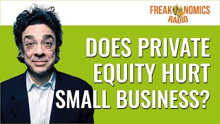 Should You Trust Private Equity to Take Care of Your Dog  Freakonomics Radio  Episode 531 [upl. by Nomannic]