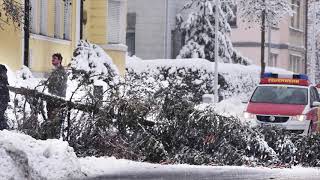 Nachrichten  07012018 Mann von Stadtbahn erfasst  Wintereinbruch  Familienstreit eskaliert [upl. by Gunzburg199]