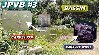 Visite abonné  Bassin amp Récif JIRAI PRÉSENTER VOS BACS 3 Aquariophilie by Aquazen [upl. by Claus]