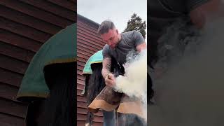 Shoeing a horse equestrian oddlysatisfying farrier showjumper [upl. by Mcdermott]