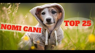 TOP 25 migliori nomi per cani maschio e femmina in ITALIANO 🐕Idee di nome di cane🐕 cane cani [upl. by Riocard]