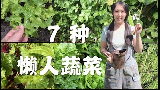 【菜园子10】7種懶人蔬菜種菜必备的几种菜  7 easy grown vegetables  逛菜园 [upl. by Durer]