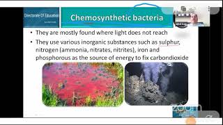 Class 11 Chemosynthetic Bacteria [upl. by Taima915]