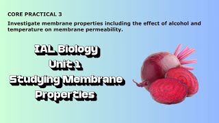 IAL Biology Core Practical 3 Investigating membrane properties [upl. by Os341]