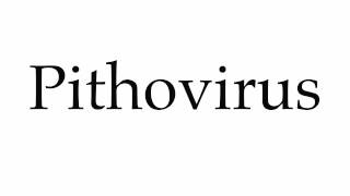 How to Pronounce Pithovirus [upl. by Benedix]