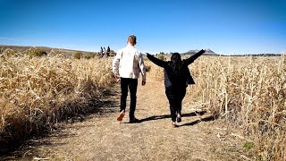 Checking Out The Local Corn Maze Fun Halloween Fall Activity ✨ Morning News Team [upl. by Wilbert399]