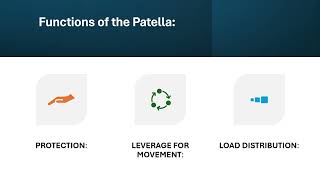 Understanding the Patella Kneecap [upl. by Alexandria]