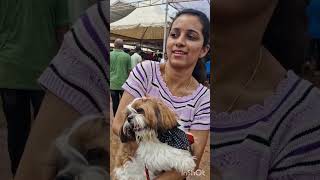 mysore dasara dog showdogshowdogshow2024 mysoredasarapetslover [upl. by Zela]