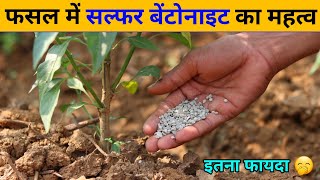 फसल में सल्फर बेंटोनाइट का महत्व  Sulphur Bentonite Use in hindi [upl. by Etam]