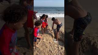 Epic Beach Day Digging a Massive Hole [upl. by Azilem]