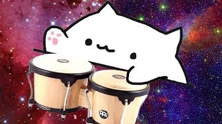 Bongo Cat Лучшая Подборка  Бонго Кэт  Новый мем 2018 [upl. by Huberman199]