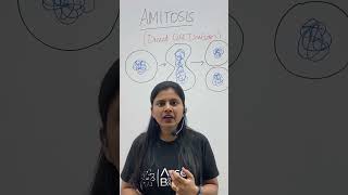 Amitosis  Direct Cell Division  Cell Cycle amp Cell Division  Class 11 Biology NEET amitosis neet [upl. by Nethsa716]