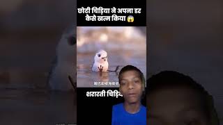 Choti chirana apna Dil SE khatam Kiya 😱 [upl. by Ajile435]