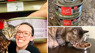 Orijen has wet cat food Lets review it [upl. by Liebowitz]