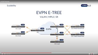 IP Infusion OcNOS v65 General Availability [upl. by Adachi]