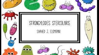 Strongyloides Stercolaris [upl. by Ttehc]