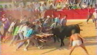 Capeia e Festival em Aldeia da Ponte 1989 [upl. by Gnauq66]