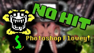 No Hit Photoshop Flowey UNSEGMENTED [upl. by Alatea898]