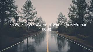 ZAYN Zhavia Ward  A Whole New World 1 HOUR LOOP [upl. by Suixela]