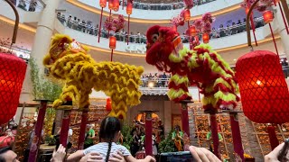 CNY 2024 Acrobatic Double Lion Dance 🦁  Khuan Loke 群樂  Mid Valley Megamall [upl. by Doughty974]