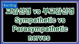 KorEng 교감 신경 vs 부교감 신경  Sympathetic vs Parasympathetic nerves [upl. by Averil]