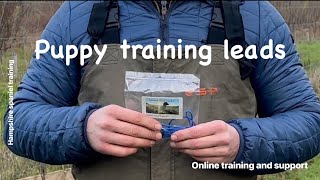 Basic puppy Leadleash training working Cocker Springer Spaniel gundog training obedience [upl. by Niotna]