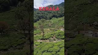 Exploring Kerala  the most beautiful placeexplorerabdulrehman [upl. by Latashia]